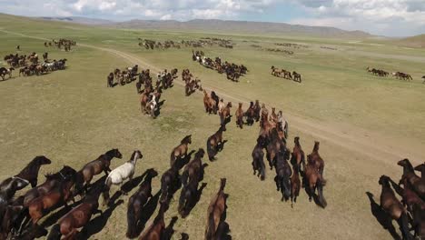 Epische-Pferdeherde,-Die-In-Den-Wilden-Endlosen-Steppen-Der-Mongolei-Galoppiert,-Drohnenaufnahme